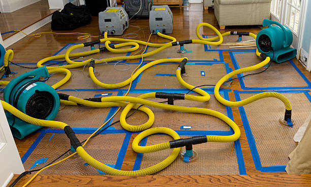 Professional Emergency Water Removal technician working in Bishop, CA